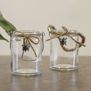 zakka复古田园风带提手透明玻璃，花瓶多肉花器水培创意装饰小花瓶