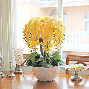 和家手感仿真蝴蝶兰套装绿植盆栽花艺室内客厅干花摆设装饰假花卉