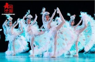 小荷风采小白翎儿童舞蹈表演服装，舞台演出服孔雀舞傣族舞蹈白