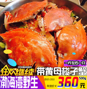 渤海湾野生满黄全母梭子蟹，一斤左右一只