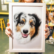 宠物素描彩铅画像定制手绘猫咪狗狗爱犬动物，画萌宠画画铅笔画