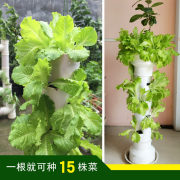 阳台立体种菜机管道种菜多层花架家中花园客厅柱式花盆种菜机