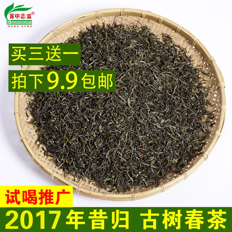 普洱茶生茶乔木古树