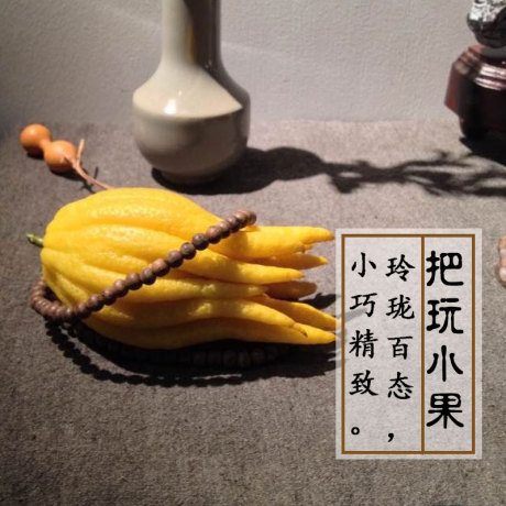 佛手果