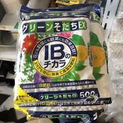 IB肥均衡肥日本产无臭不招虫氮磷钾10-10-10 高级室内植物颗粒肥