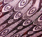 高档维吾尔族布料艾德莱斯真丝绸宽幅1米10cm