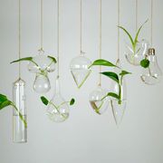 创意悬挂玻璃花瓶透明水培，植物幼儿园婚庆家居，绿萝插花装饰小瓶子