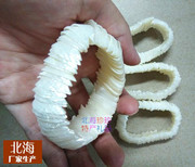 天然海螺贝壳工艺品 白色彩色贝壳手链手串 旅游纪念品海滩礼物