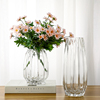 简约几何竖棱玻璃花瓶透明水培，花器现代插花瓶，家居客厅工艺摆设