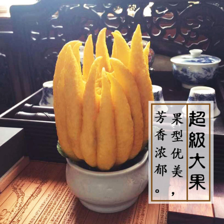 佛手果
