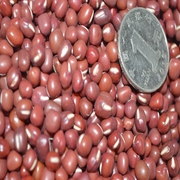红小豆农家自产豆类杂粮250g新鲜小赤豆粗粮煮粥红小豆