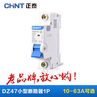 chnt正泰家用小型空气开关，断路器保护器c45dz471p20a25a32a40a63a