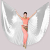 肚皮舞金翅道具成人大金翅演出翅膀舞蹈服360度金翅膀彩色翅膀