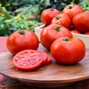寿光蔬菜种子齐达利大红番茄 威尼斯F1-199 高产抗病温室大棚