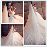韩式简约新娘头纱双层3米超长拖尾头纱，软纱5米10米婚纱头纱裸