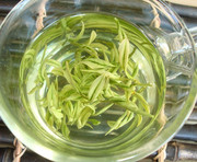 2023年新茶叶(新茶叶)奶白安吉白茶，100克明前茶特级绿茶正宗原产地