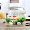 鱼缸高端圆形透明玻璃加厚大号，金鱼缸(金鱼缸)乌龟，缸客厅桌面小型风水圆球