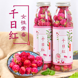1瓶 千日红花茶 天然特级红巧梅美容美白润肤明目花草茶 罐装