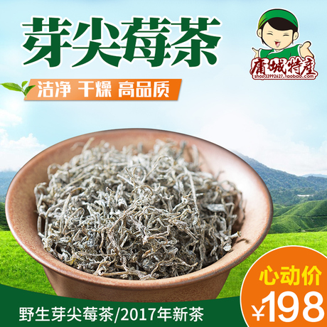 野生茅岩莓茶