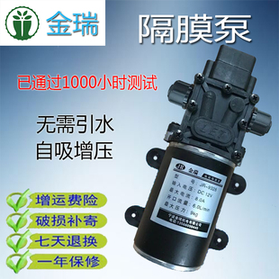 24v12v微型增压水泵抽水自吸增压隔膜泵洗车家用直流高压小型水泵