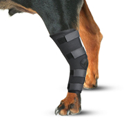 宠物护具狗狗户外用品，打猎犬护腿后腿，无力金毛护腿辅助