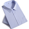 夏男士(夏男士)白底蓝色，条纹短袖衬衫商务，正装银行职业工作装半袖衬衣