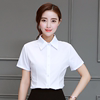 韩版棉白色女衬衫短袖夏装半袖工作服正装工装大码衬衣职业ol
