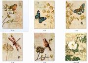 北欧简约现代小清新蝴蝶花鸟蜻蜓，花卉装饰画无框画喷绘画芯油画