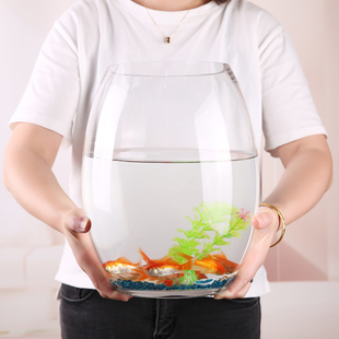 鱼缸透明玻璃创意圆柱形桌面，生态金鱼缸(金鱼缸)大号，乌龟缸办公家用水族箱