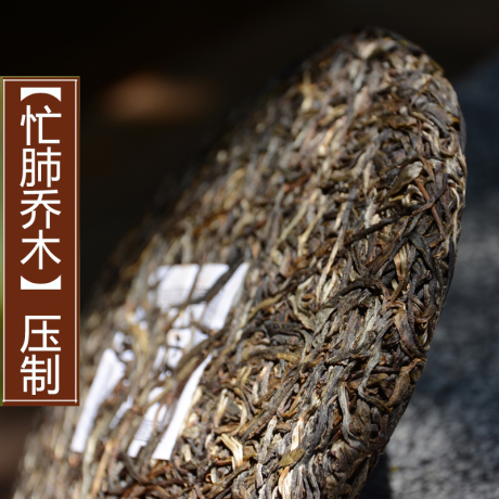 普洱茶生茶乔木古树