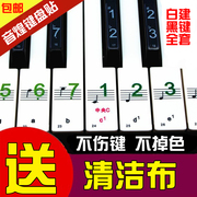 电子琴键盘贴54键61键88键透明五线谱简谱，键位贴防水钢琴贴纸