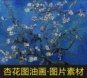 高清杏花图油画梵高名人，十字绣装饰画电子版，jpg格式tif图片素材