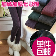 加绒加厚打底裤 秋冬季女韩版七彩棉裤 外穿显瘦一体保暖裤批发