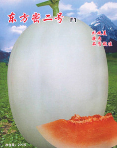 甜瓜种子 哈密瓜种子 菜园易种甜瓜籽甜度18%