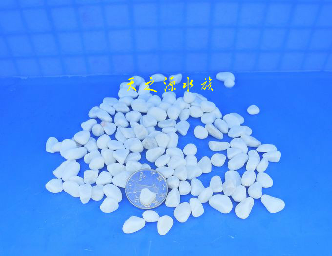 鱼缸造景装饰白石子 水族箱白石头 观赏鱼鱼缸