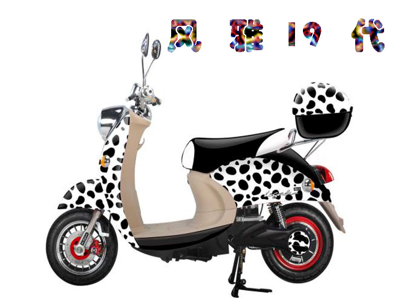 高质量新日小龟王电动车48V——风雅19代|一