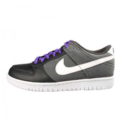 NIKE耐克 2013年新款DUNK LOW '08 LE男子板鞋318019