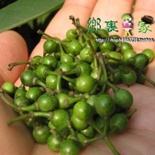 【恩施馆】新上市新鲜纯天然野生山胡椒豆豉姜