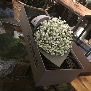 哈尔滨鲜花速递 爱情生日祝福鲜花 白色满天星