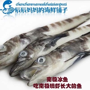 南极冰鱼 南极虾鱼 船冻 野生 无污染 500g(2-3