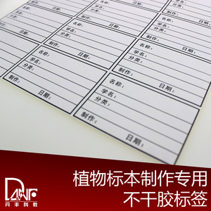 不干胶标签 植物标本制作工具 12枚 科学探索玩