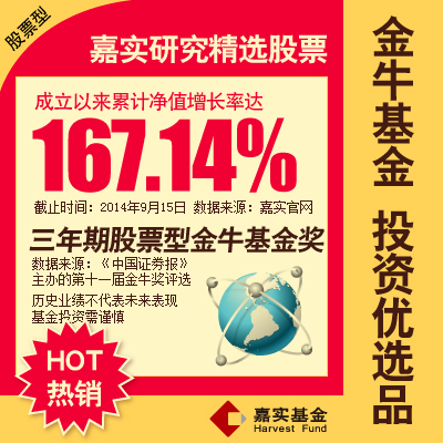 嘉实研究精选股票基金 070013 金牛基金 股票