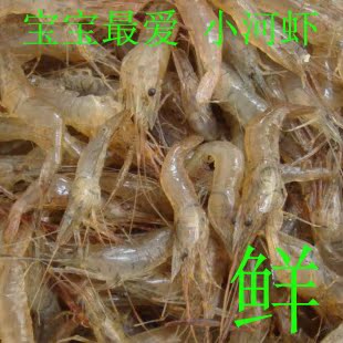 新鲜水产 鲜活 河虾 小河虾 青虾 虾仔 淡水虾 小