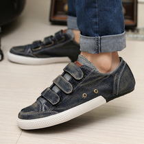 针织<em>开衫搭配</em>_<em>开衫V领</em>春秋季2013新款修身型