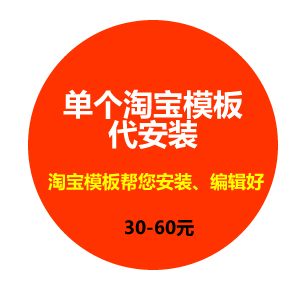 单个淘宝装修模板代安装服务
