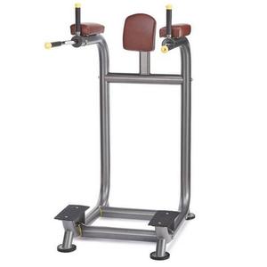 阳锐 6245 提膝练腹架 健身房专用商用提膝练腹