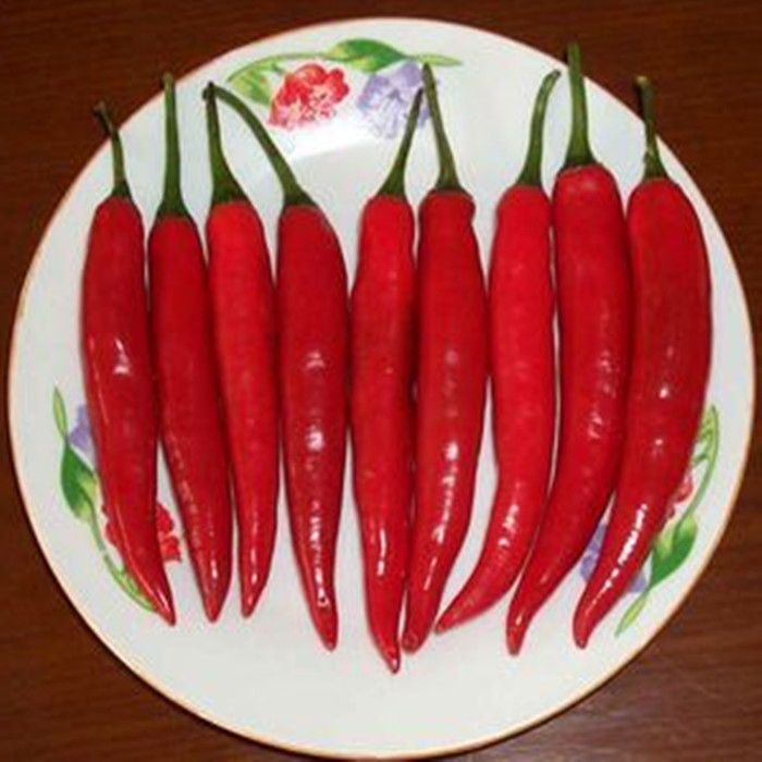 新鲜热卖 贵州小米辣 朝天椒 新鲜辣椒 最辣的辣
