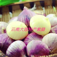 大理纯天然无污染保健功效做菜泡糖醋蒜都可以紫皮大蒜独蒜