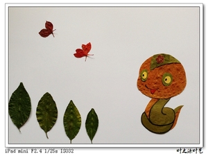 儿童房间装饰画*精品树叶标本贴画DIY*树叶画