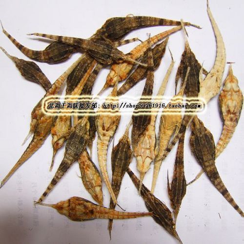 北海海产 野生海麻雀一对(淋巴腺肿大\/咽喉肿痛